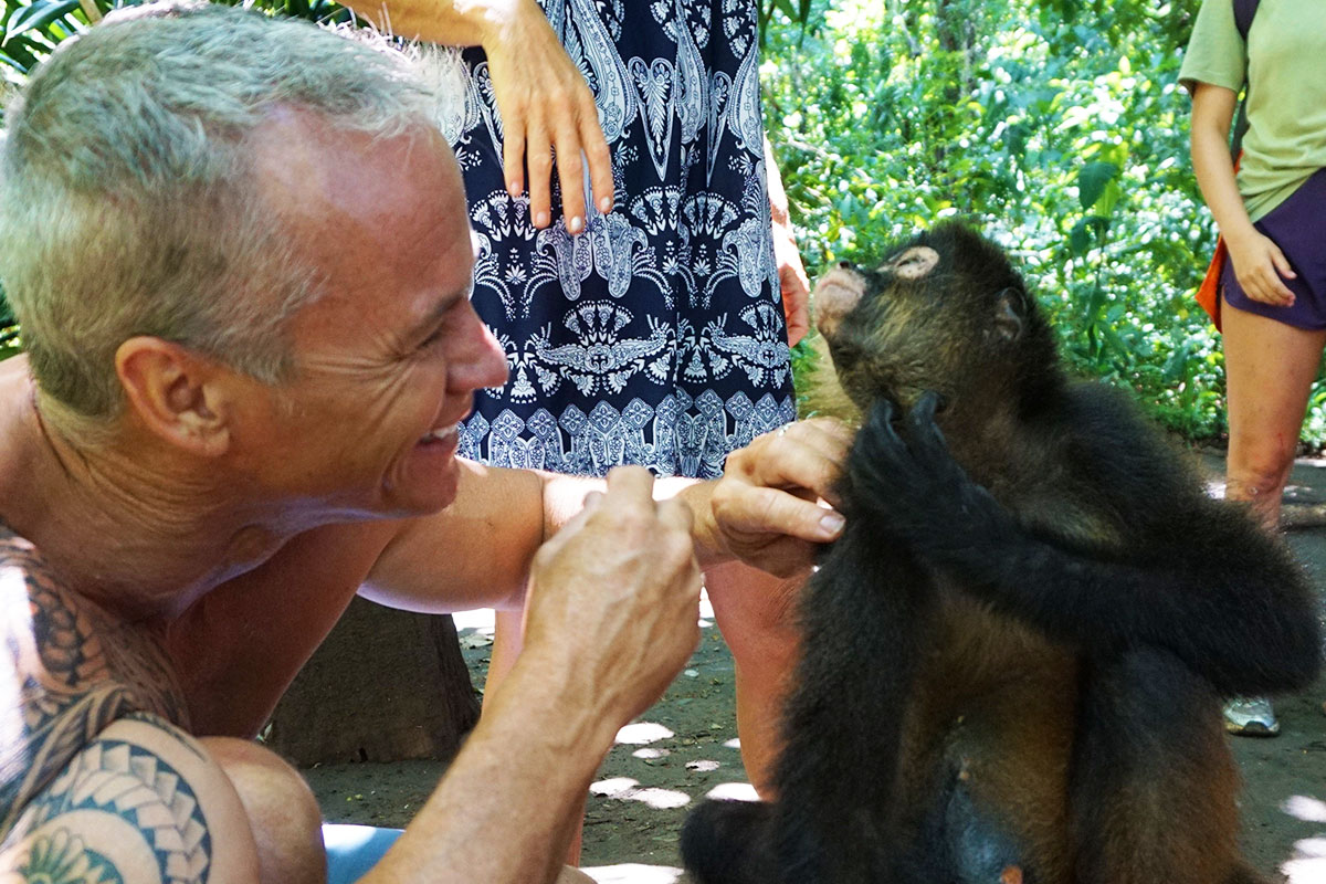 Monkey Costa Rica Vacations