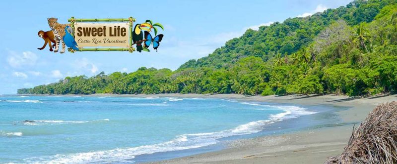 things to do in cabo matapalo costa rica