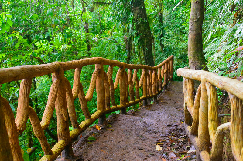 Stairway Costa Rica Vacations